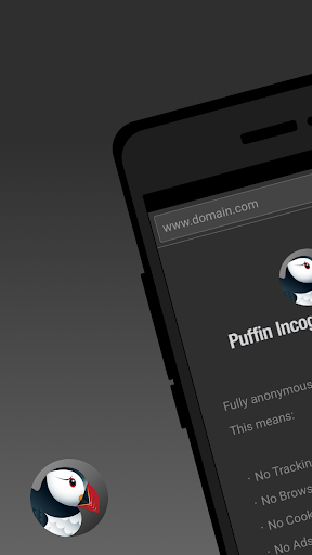 Puffin Gizli Tarayıcı ekran görüntüsü
