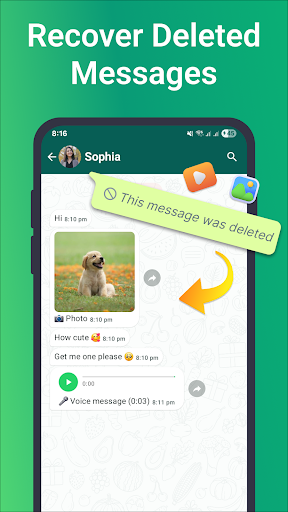 Recover Deleted Messages ekran görüntüsü