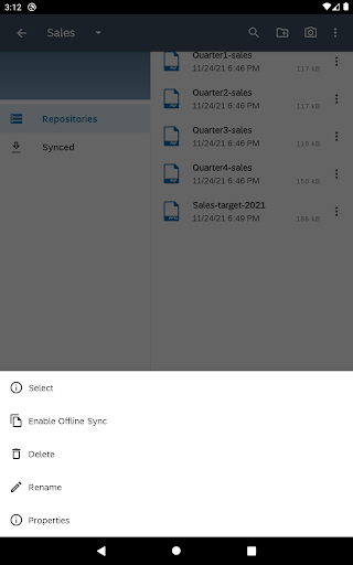 SAP Document Mgmt Svc Client ekran görüntüsü