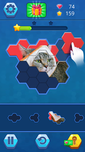 Jigsaw Hexa Puzzle ekran görüntüsü