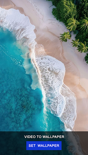 Set Video Live Wallpaper ekran görüntüsü
