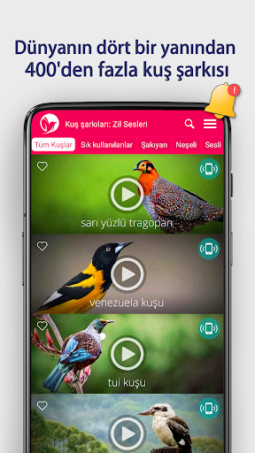 Kuş şarkıları: Zil Sesleri ekran görüntüsü