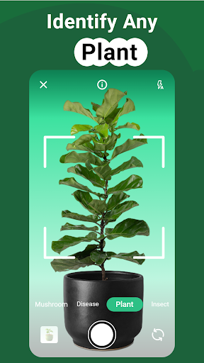 PlantGro: AI Plant Identifier ekran görüntüsü