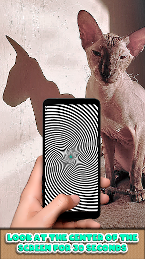 Optical Illusion Simulator ekran görüntüsü