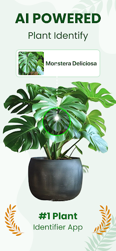 Leafy: Plant Identifier ekran görüntüsü