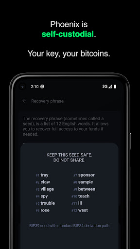 Phoenix - LN Bitcoin wallet ekran görüntüsü