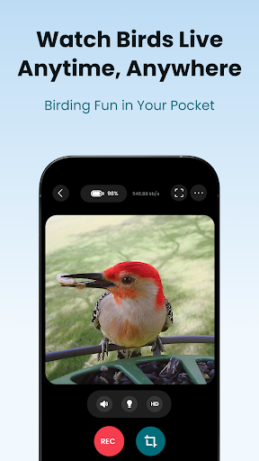 Birdfy ekran görüntüsü