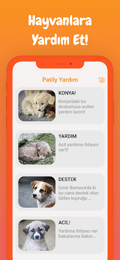 Patily ekran görüntüsü