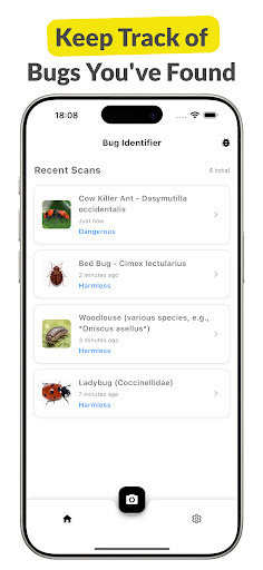 LadyBug Insect: Bug Identifier ekran görüntüsü