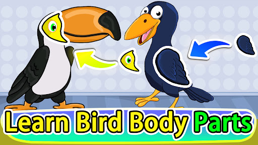 Bird Puzzle Adventure ekran görüntüsü