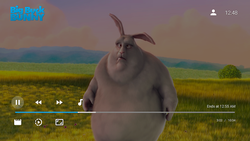 Jellyfin for Android TV ekran görüntüsü