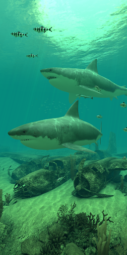 Sharks 3D - Live Wallpaper ekran görüntüsü