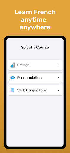 Wlingua - Learn French ekran görüntüsü
