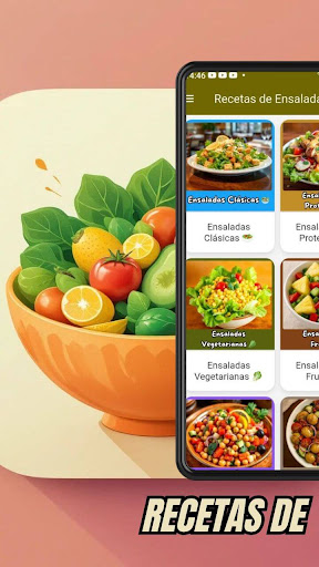 Recetas de Ensaladas ekran görüntüsü