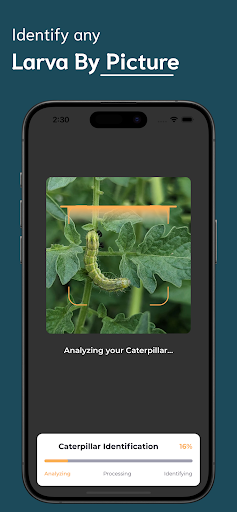 Caterpillar Identifier ekran görüntüsü