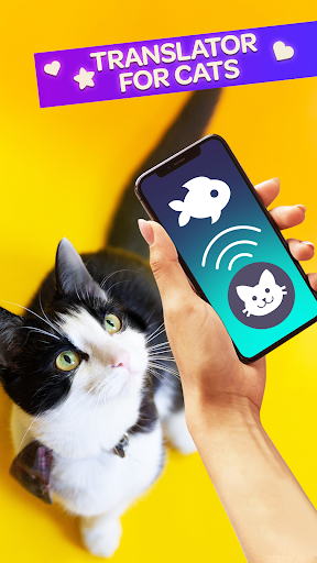 Kedi Çevirmen Miyav ekran görüntüsü