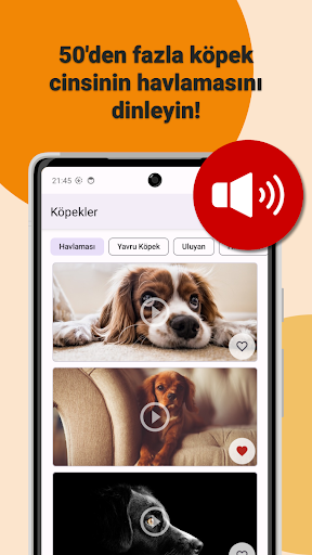 Köpek Sesleri ve Zil Sesleri ekran görüntüsü