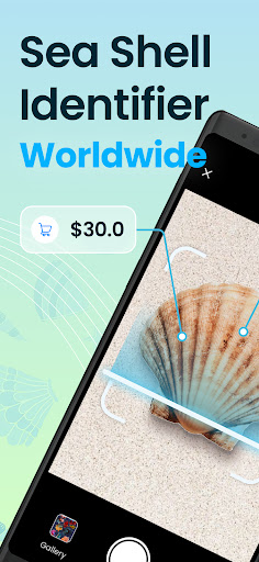 Seashell Identifier App ekran görüntüsü