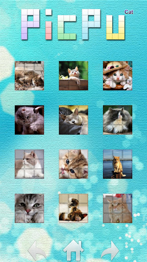 PicPu - Cat Picture Puzzle ekran görüntüsü