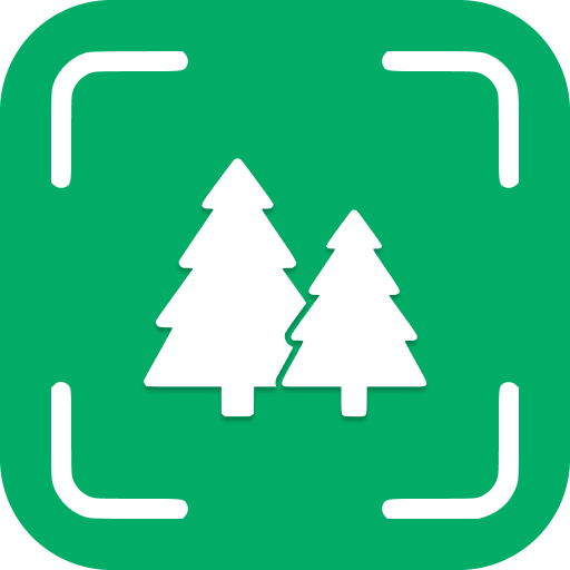 Tree Identifier