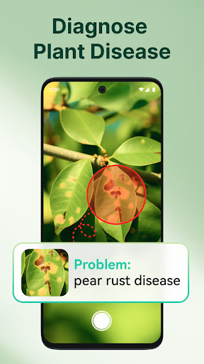 ArtReel - AI Plant Identifier ekran görüntüsü
