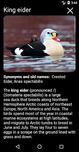 Birds of North America: Decoys ekran görüntüsü