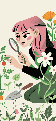 Seed Identifier: Seed ID ekran görüntüsü