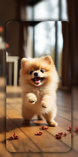 Dog Wallpaper & Cute Puppy 4K ekran görüntüsü