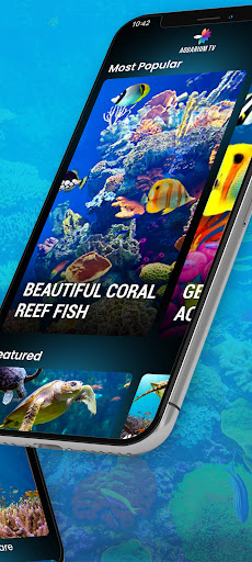 Aquariums TV ekran görüntüsü