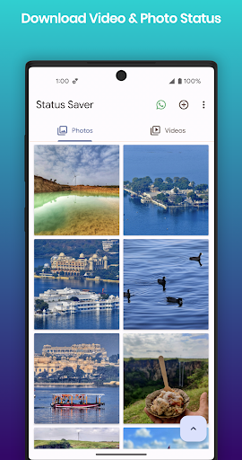 Status Saver -  Save & Share ekran görüntüsü