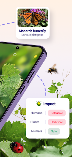 Bug ID - Insect Identifier ekran görüntüsü