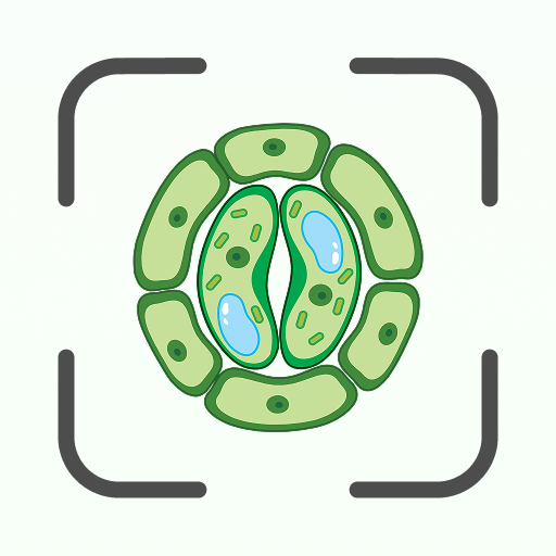 Biology AI: Homework Helper