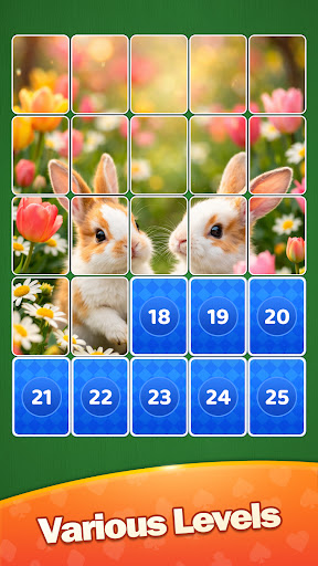 Solitaire Jigsaw : Card Puzzle ekran görüntüsü