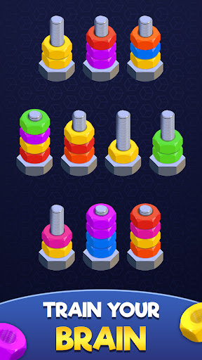 Nuts and Bolts: Sort Puzzle ekran görüntüsü