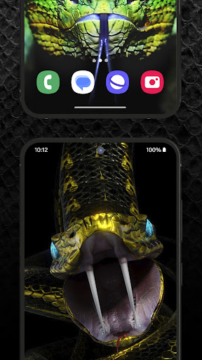 Snake Wallpaper HD + Keyboard ekran görüntüsü
