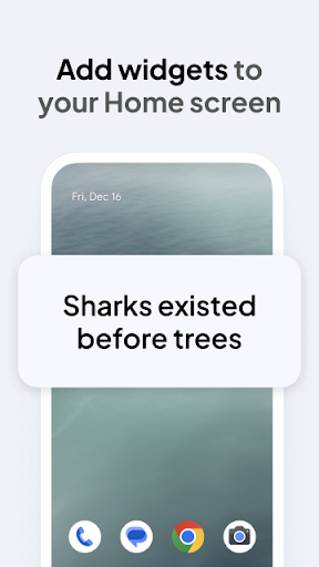 Daily Random Facts ekran görüntüsü