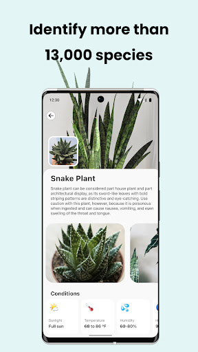 PlantCam: AI Plant Identifier ekran görüntüsü