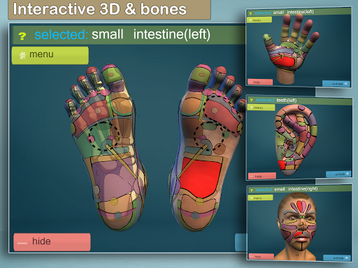 Total Reflexology 3D ekran görüntüsü