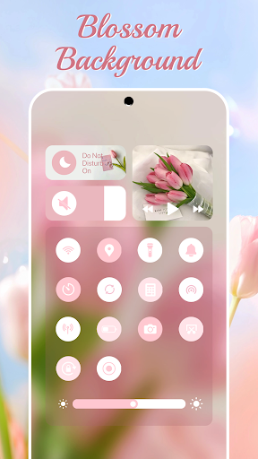 Control Widget - Themed Panels ekran görüntüsü