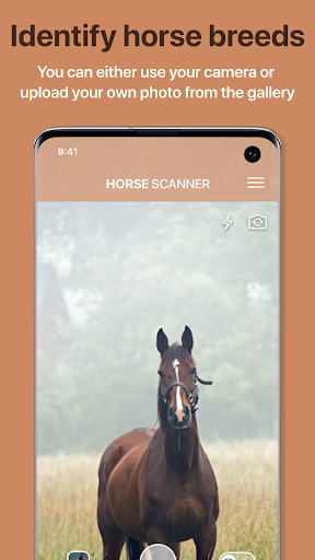 Horse Scanner ekran görüntüsü