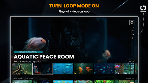 Relaxing Meditation Aquarium ekran görüntüsü