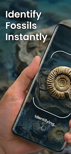 Fossil Identifier: Bone ID ekran görüntüsü