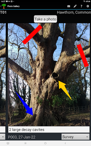Tree Survey (OTISS) ekran görüntüsü
