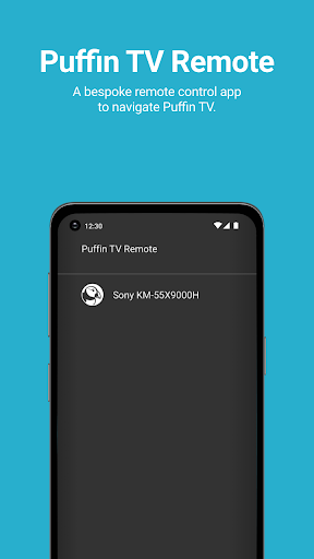 Puffin TV Remote ekran görüntüsü