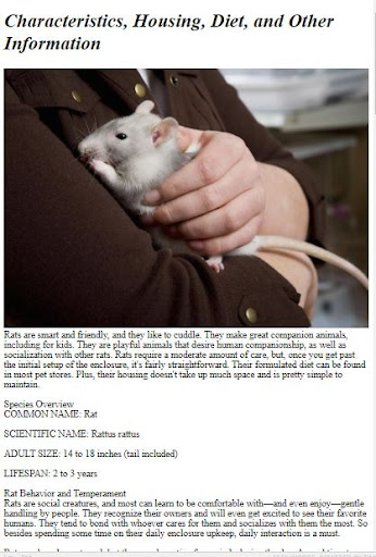 Pet Rat Care Guide ekran görüntüsü