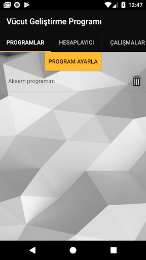 Vücut Geliştirme Programı ekran görüntüsü