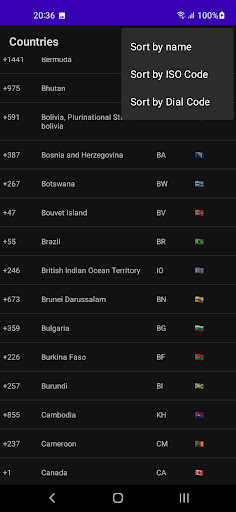 World Dial Codes and Flags ekran görüntüsü