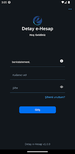 Detay e-Hesap ekran görüntüsü