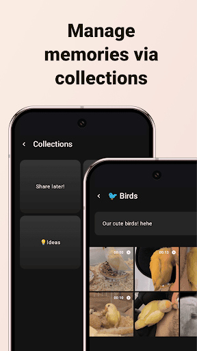Pixel Gallery - Privacy & AI ekran görüntüsü