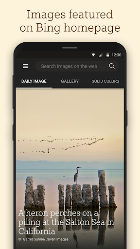 Bing Wallpapers ekran görüntüsü